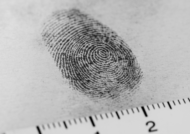 Fingerprint