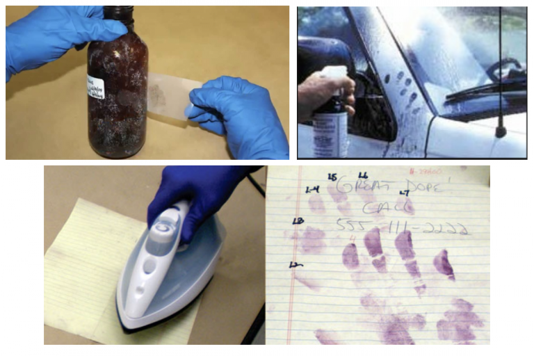 Fingerprint Collection Is Too Often Ignored at Crime Scenes Stidham